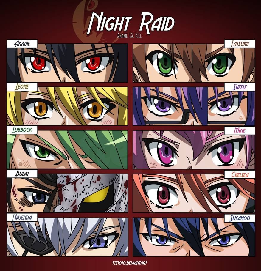 Personajes principales del anime Akame Ga Kill listos para la acción.