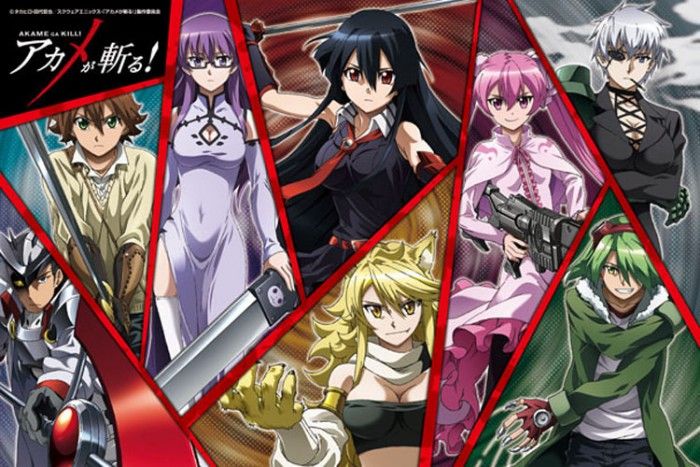 personajes de Akame Ga Kill en una imagen